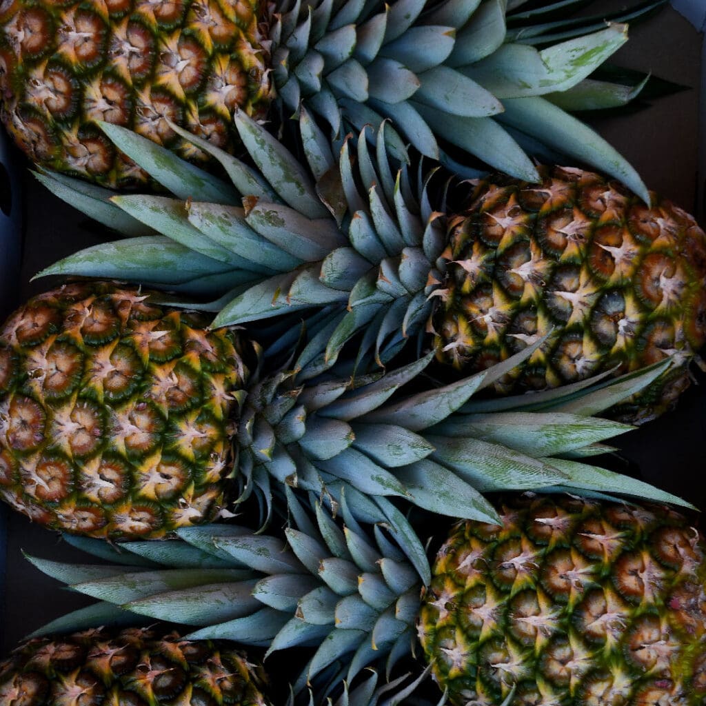 Rollingstone Pineapple Festival